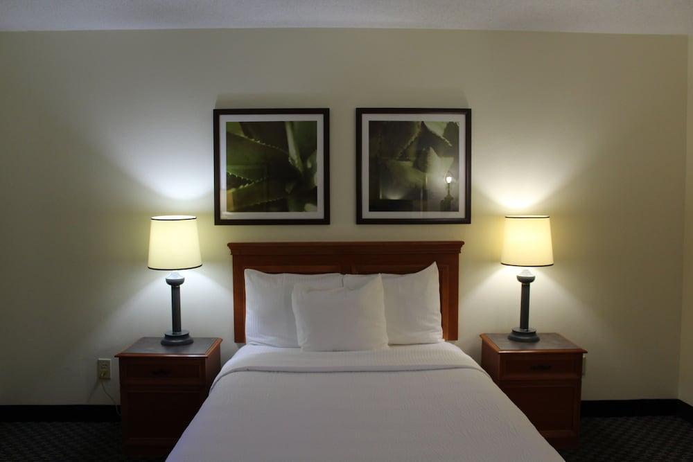 Hotel La Quinta By Wyndham Tampa Brandon West Heartland Zewnętrze zdjęcie